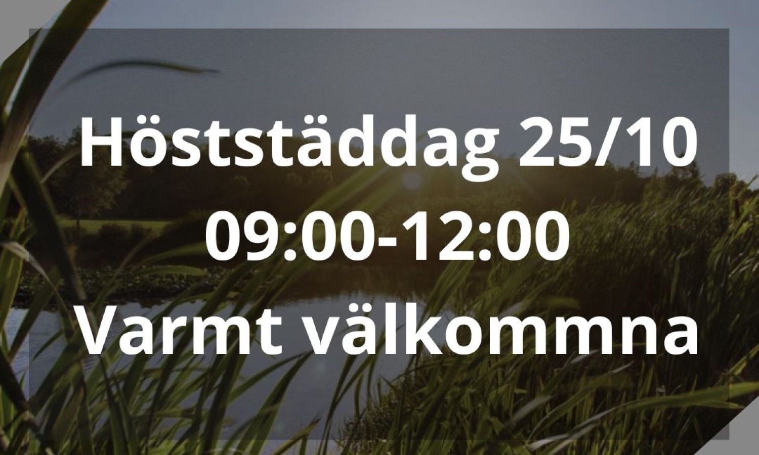 Kopia Av Kopia Av Kopia Av Kopia Av Kopia Av Kopia Av Kopia Av Kopia Av Kopia Av Kopia Av Kopia Av Kopia Av Kopia Av Jane Doe (1)