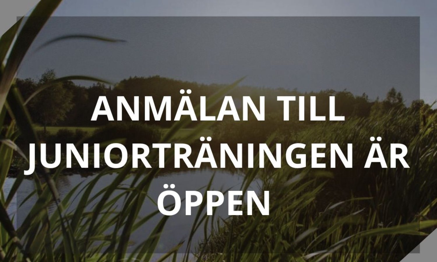 Kopia Av Kopia Av Kopia Av Kopia Av Kopia Av Kopia Av Kopia Av Kopia Av Kopia Av Kopia Av Kopia Av Kopia Av Kopia Av Jane Doe (1)